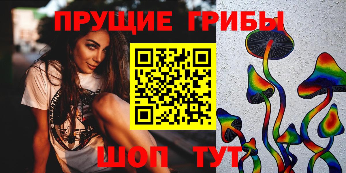 Псилоцибиновые грибы мицелий Ленинск-Кузнецкий
