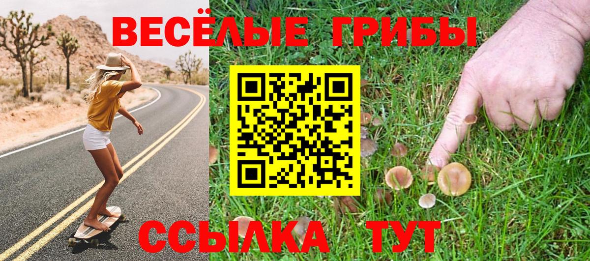 Галлюциногенные грибы Psilocybe  Вход с VPN  Ленинск-Кузнецкий 
